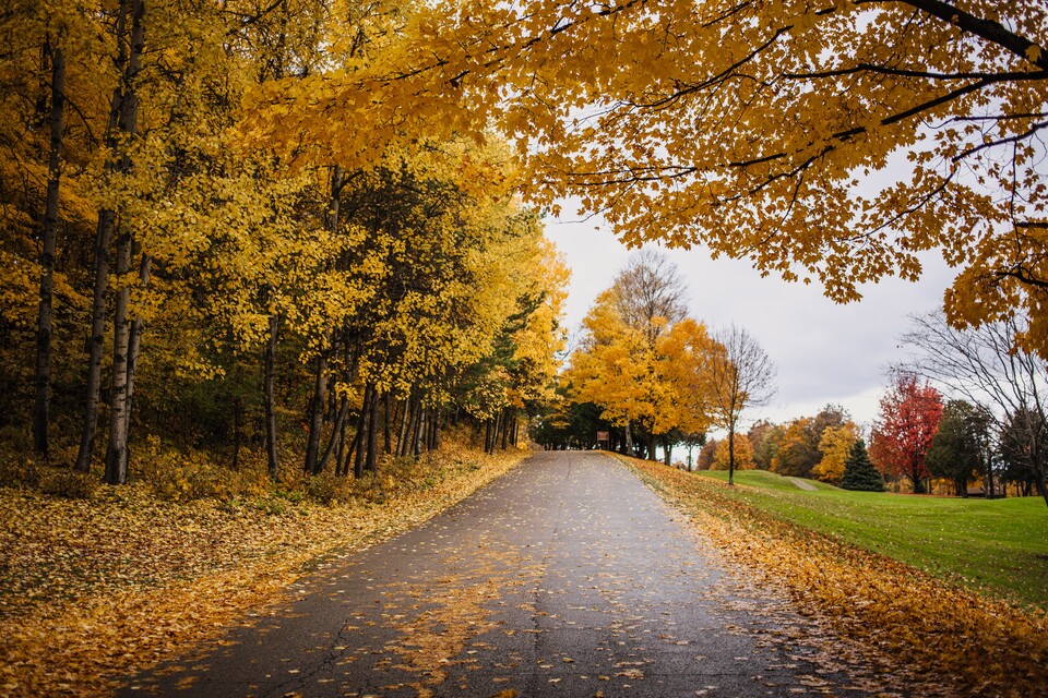 (사진 Unsplash)/뉴스펭귄