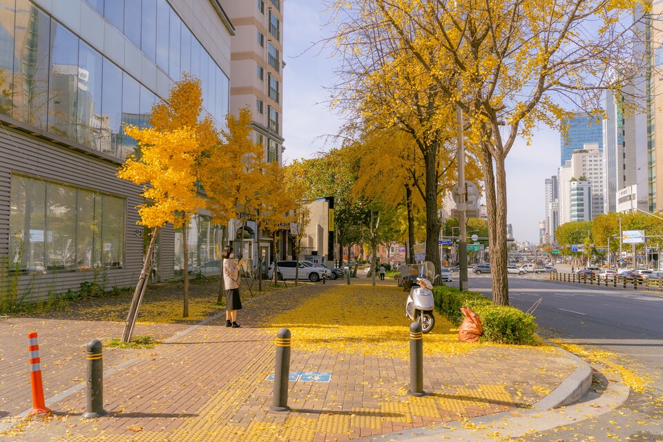 (사진 Unsplash)/뉴스펭귄