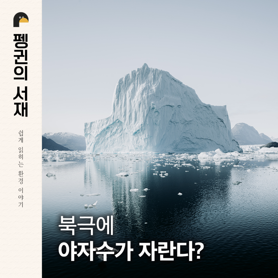 (그래픽 손아영)/뉴스펭귄