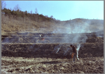 예전에는 논둑에서 월동하는 병해충 방제를 위해 봄철에 논둑을 태우곤 했다. 하지만 실제 방제 효과가 산불의 원인이 되는 경우가 많아 90년대 이후로 금지됐다.(사진 농촌진흥청)/뉴스펭귄