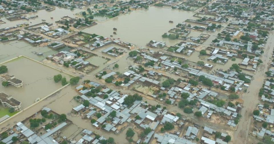 올해 기록적인 폭우로 물에 잠긴 아프리카 차드 (사진 국제이주기구 홈페이지 캡처)/뉴스펭귄
