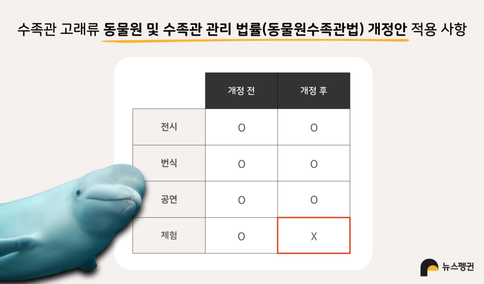 수족관 고래류 동물원 및 수족관 관리 법률(동물원수족관법) 개정안 적용 사항. 변경사항은 부적절한 체험 금지뿐이다. (그래픽 문예빈 기자) /뉴스펭귄