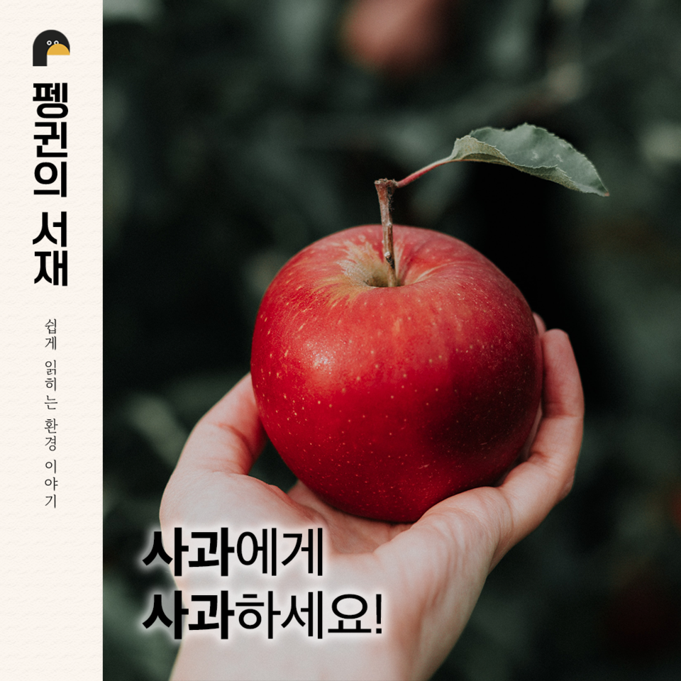 (그래픽 손아영)/뉴스펭귄
