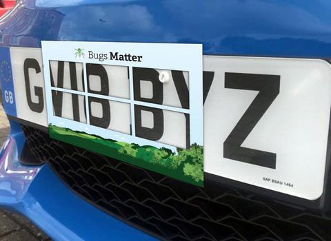 (사진 켄트 야생동물 트러스트 홈페이지 갈무리)/뉴스펭귄