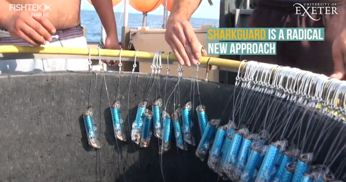 줄에 매달려 있는 것이 전류를 흘려보내는 '상어 방지(shark guard)' 장치다.(사진 Fishtek Marine 홍보 영상 캡처)/뉴스펭귄