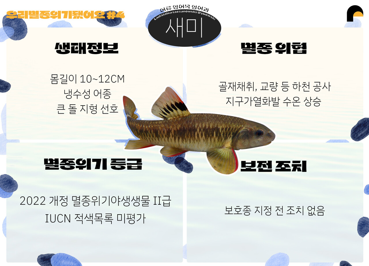 (그래픽 임병선 기자)/뉴스펭귄