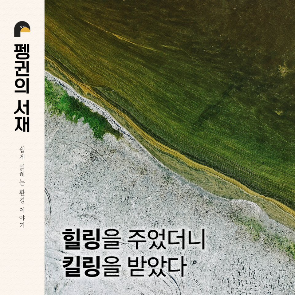 (그래픽 손아영)/뉴스펭귄