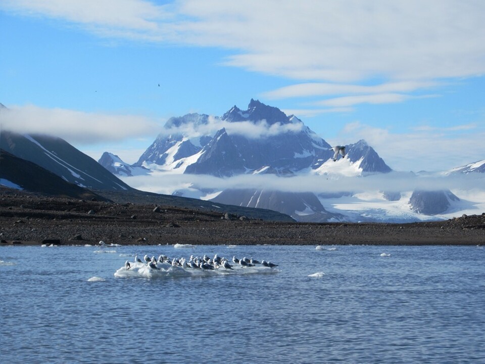 노르웨이령 스발바르제도 전경 (사진 flickr, David Stanley)/뉴스펭귄