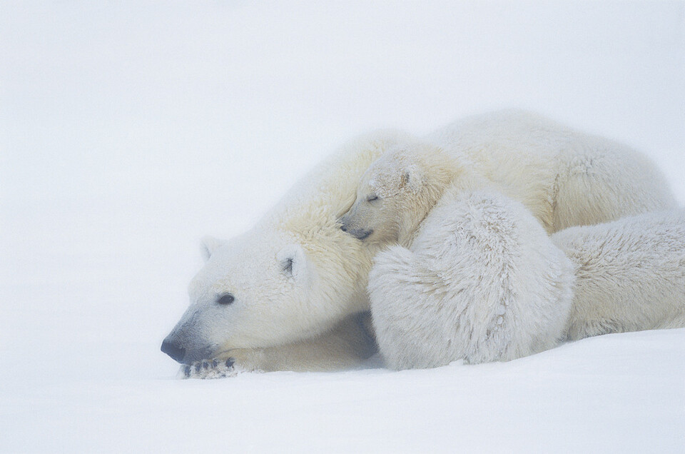 (사진 클립아트코리아)/뉴스펭귄