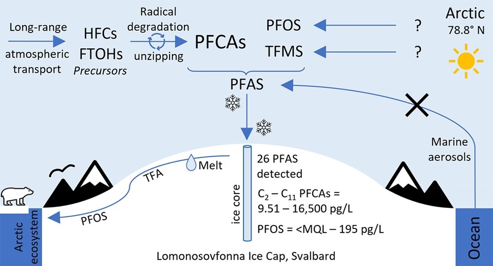 TFA, PFOS는 해빙 과정에서 북극 생태계로 유입돼 야생동물을 위협할 가능성이 있다 (사진 'Levels and distribution profiles of Per- and Polyfluoroalkyl Substances (PFAS) in a high Arctic Svalbard ice core' 논문)/뉴스펭귄