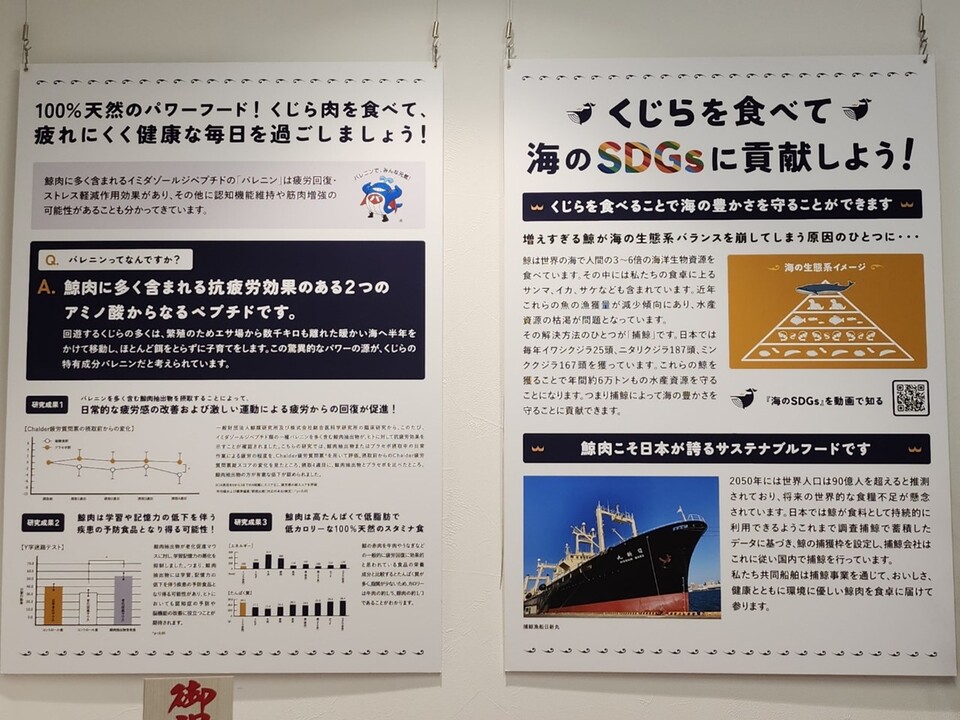 고래고기 소비가 건강 증진과 지속가능성에 도움된다고 주장하는 쿠지라 상점 오사카 지점의 홍보물.(사진 남예진 기자)/뉴스펭귄