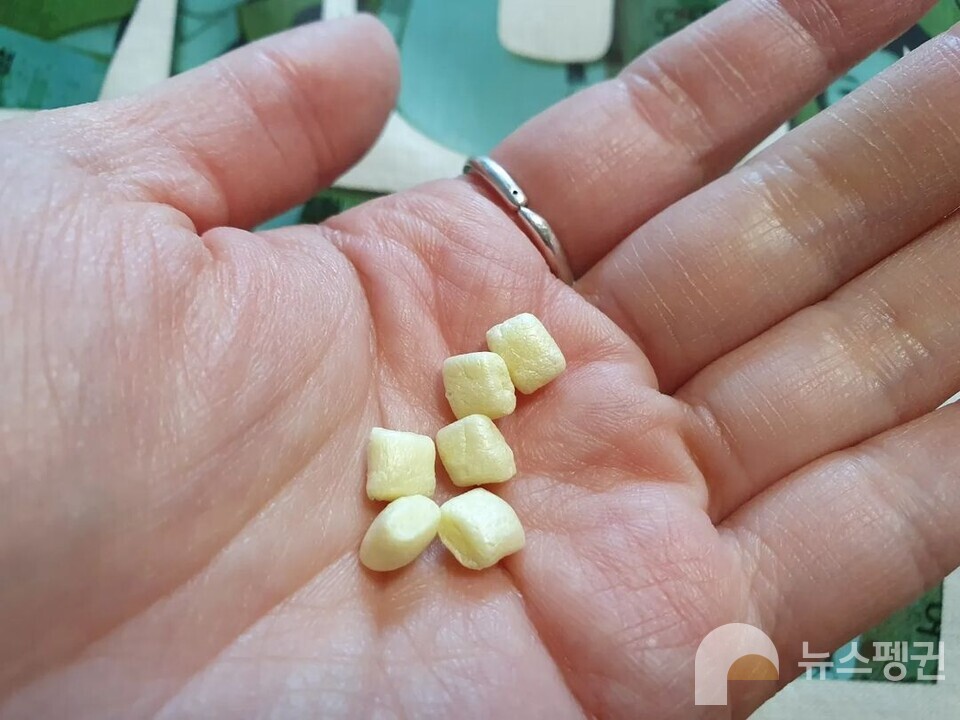 (사진 뉴스펭귄 독자 '노모어' 님 제공)/뉴스펭귄