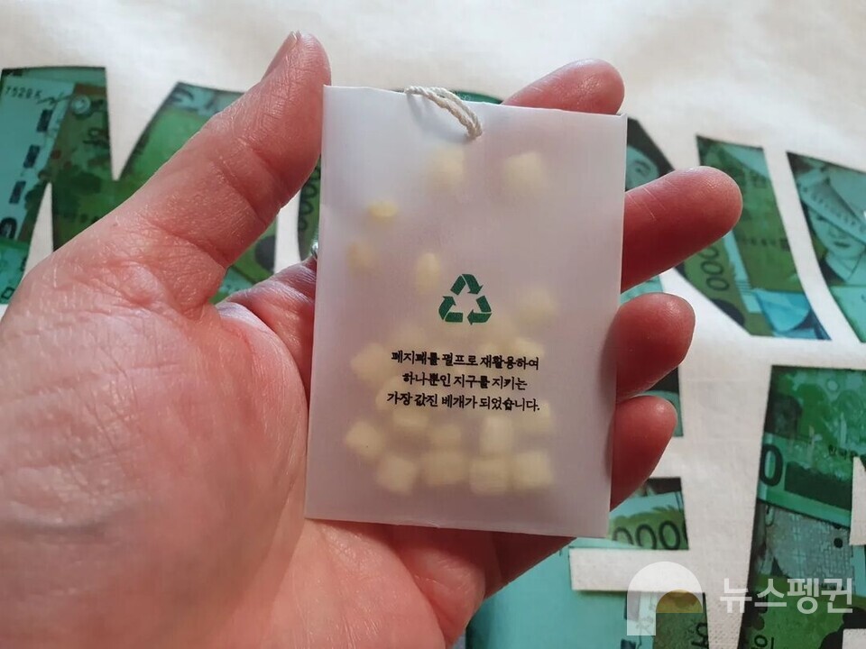 (사진 뉴스펭귄 독자 '노모어' 님 제공)/뉴스펭귄