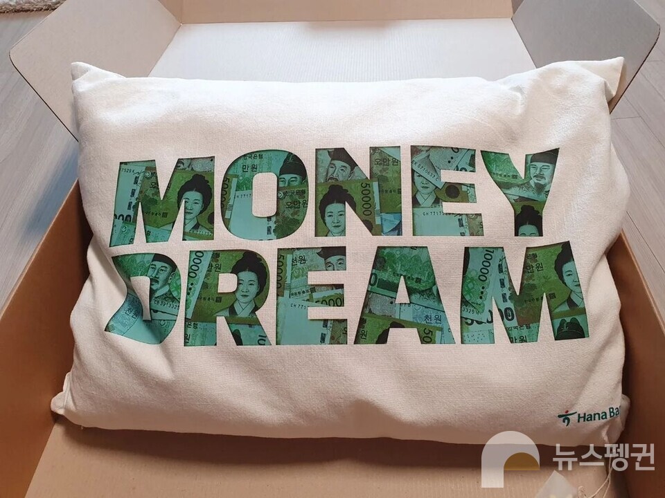 노 씨는 "우리가 일반적으로 사용하는 솜 베개나 라텍스 베개와는 느낌이 다르다. 빈백 같은 느낌에 더 가깝다"고 설명했다 (사진 뉴스펭귄 독자 '노모어' 님 제공)/뉴스펭귄