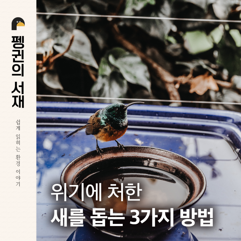 (그래픽 손아영)/뉴스펭귄