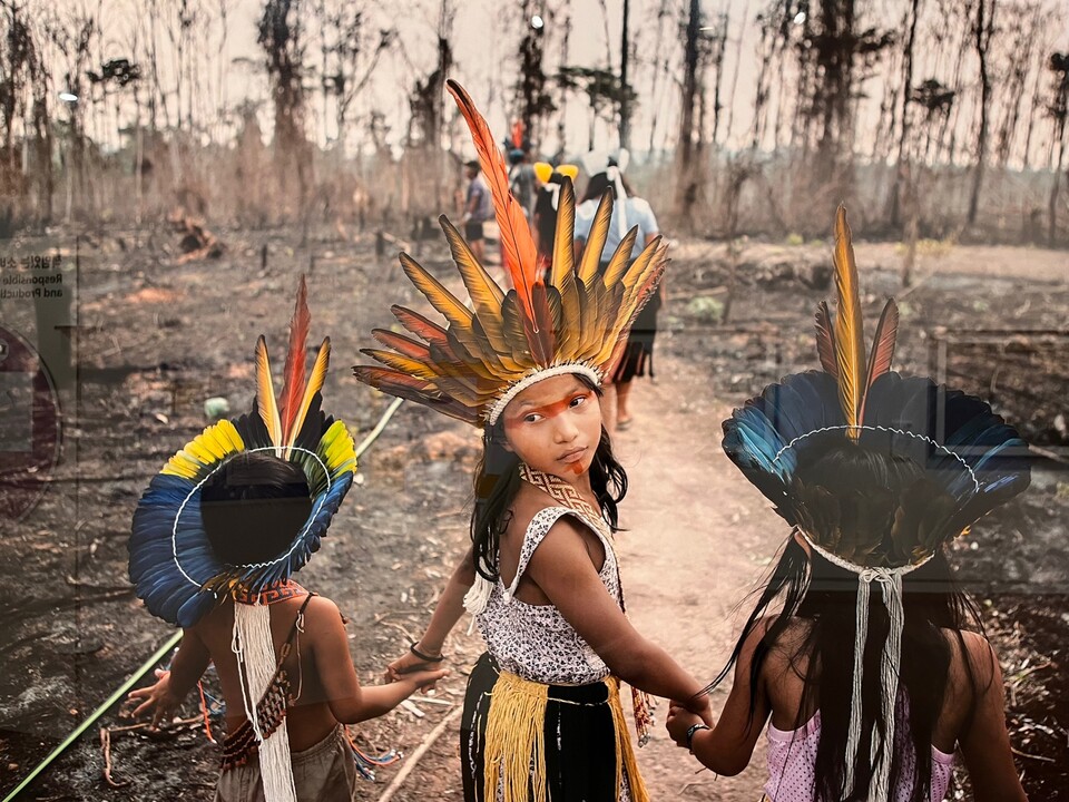 ＜육상 생태계＞ 후니쿠이족은 브라질 아마존에서 벌어지는 고의적인 산림 화재의 희생양이다. 인간의 탐욕은 더 많은 농경지와 목초지를 얻기 위해 이들 삶의 터전을 불태우고 있다 (사진 남주원 기자)/뉴스펭귄