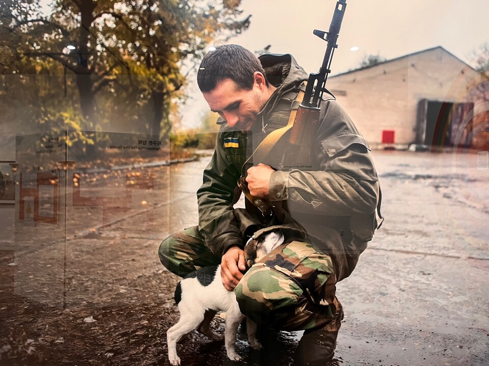 ＜지구촌 협력＞ 우크라이나 교전 지역에서 포착된 한 남자와 강아지. 참담한 전쟁 속에서도 일말의 희망과 우정이 존재함을 보여준다 (사진 남주원 기자)/뉴스펭귄