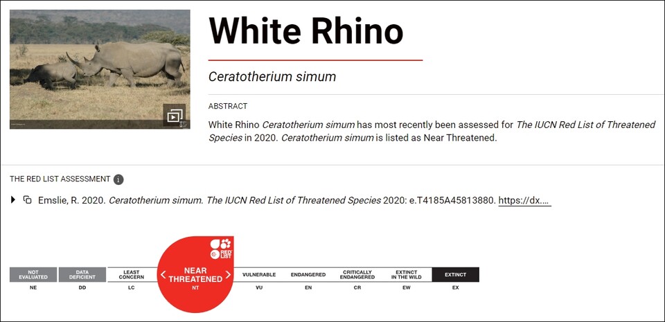 흰코뿔소 국제 멸종위기 등급. (사진 AuTerra 공식홈페이지)/뉴스펭귄