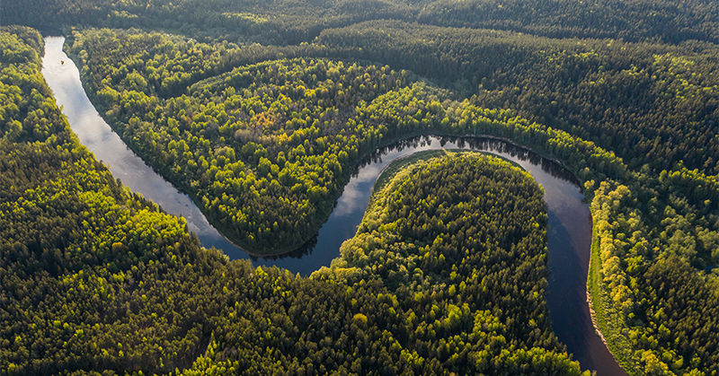 (사진 unsplash)/뉴스펭귄