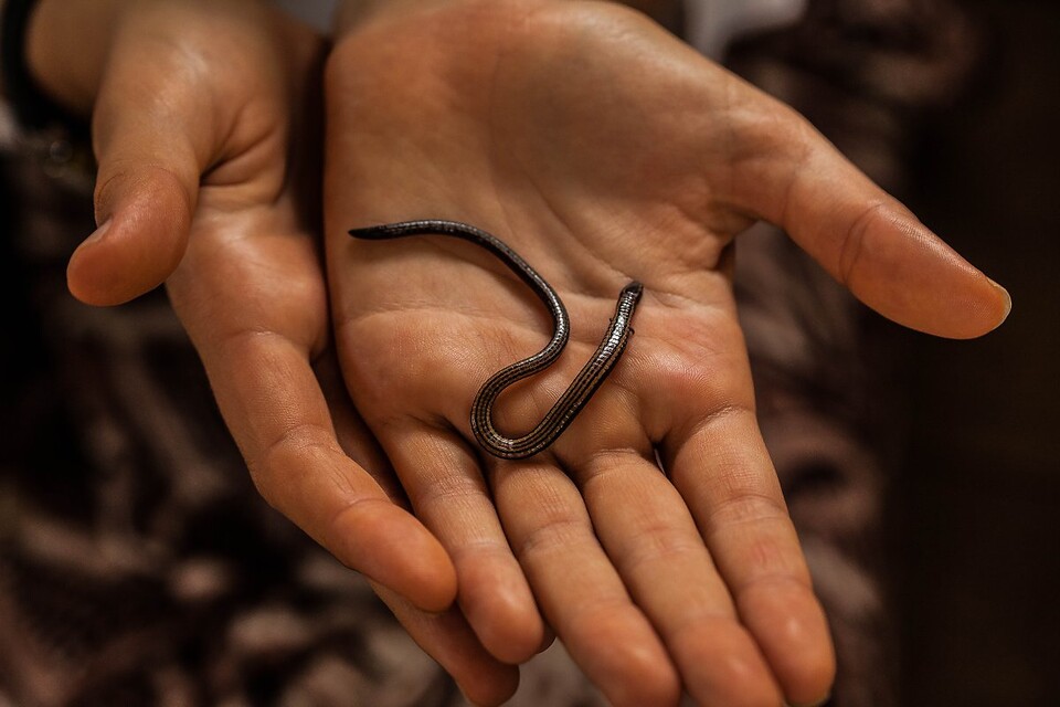 (사진 MueL뮤엘 네이버 포스트)/뉴스펭귄