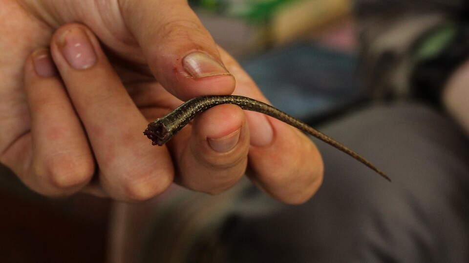 (사진 MueL뮤엘 네이버 포스트)/뉴스펭귄