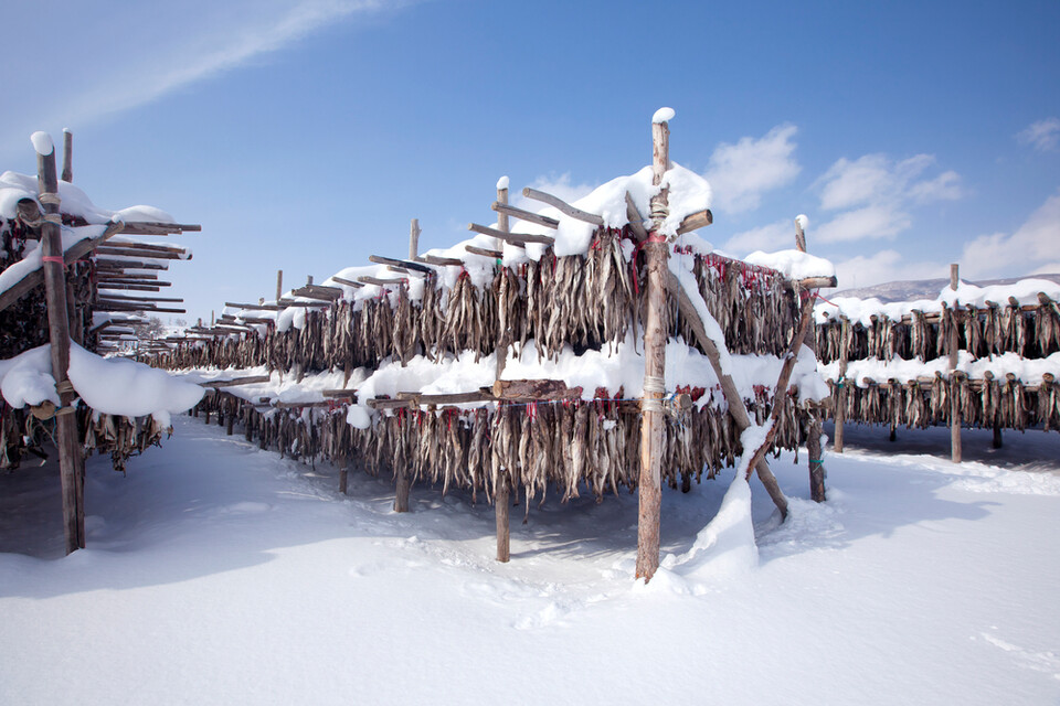 (사진 클립아트코리아)/뉴스펭귄