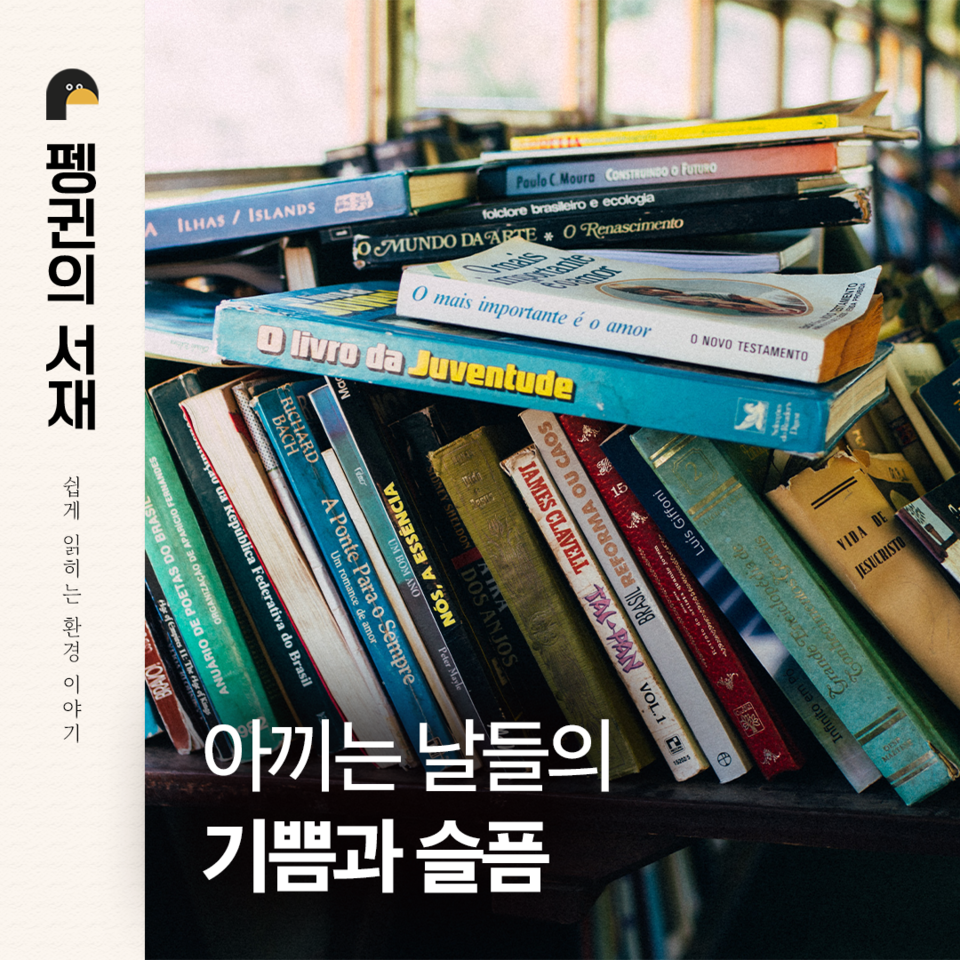 (그래픽 손아영)/뉴스펭귄