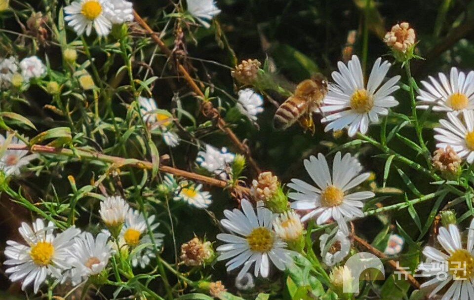 (사진 조은비 기자)/뉴스펭귄