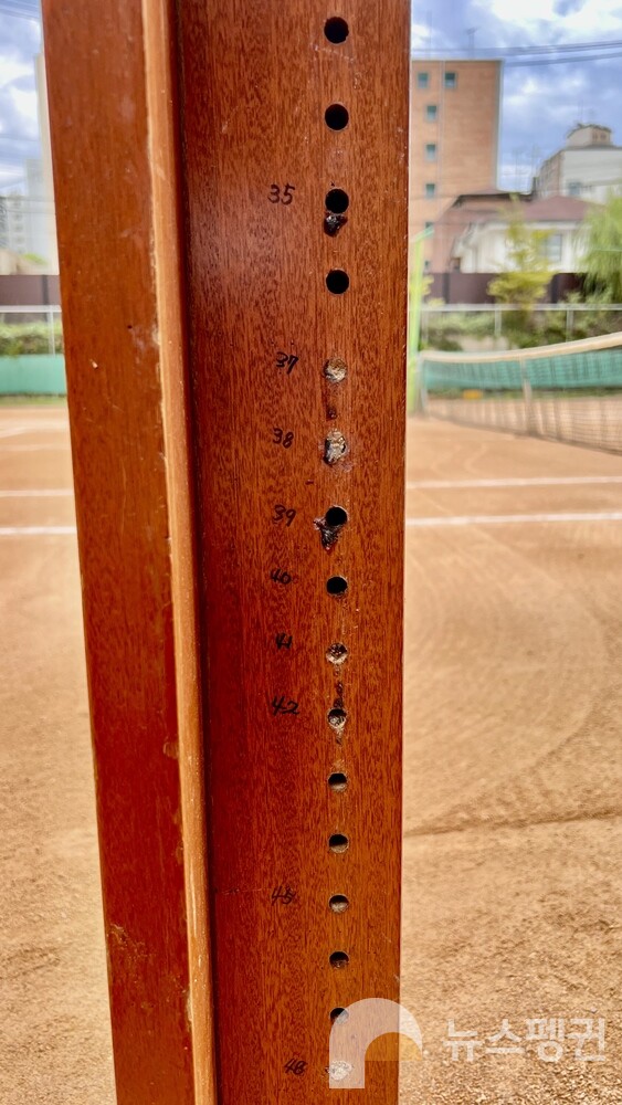 테니스장 어닝 기둥에 있는 구멍들. 왕가위벌의 산란이 이뤄져 송진으로 입구가 막힌 구멍도 있고, 그냥 비어있는 구멍도 있다. (사진 서울교육대학교 과학교육과 신동훈 교수)/뉴스펭귄