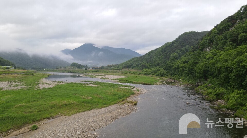 여울마자가 서식하는 경남 함양군 엄천강 하류. (사진 수달친구들 최상두 대표)/뉴스펭귄