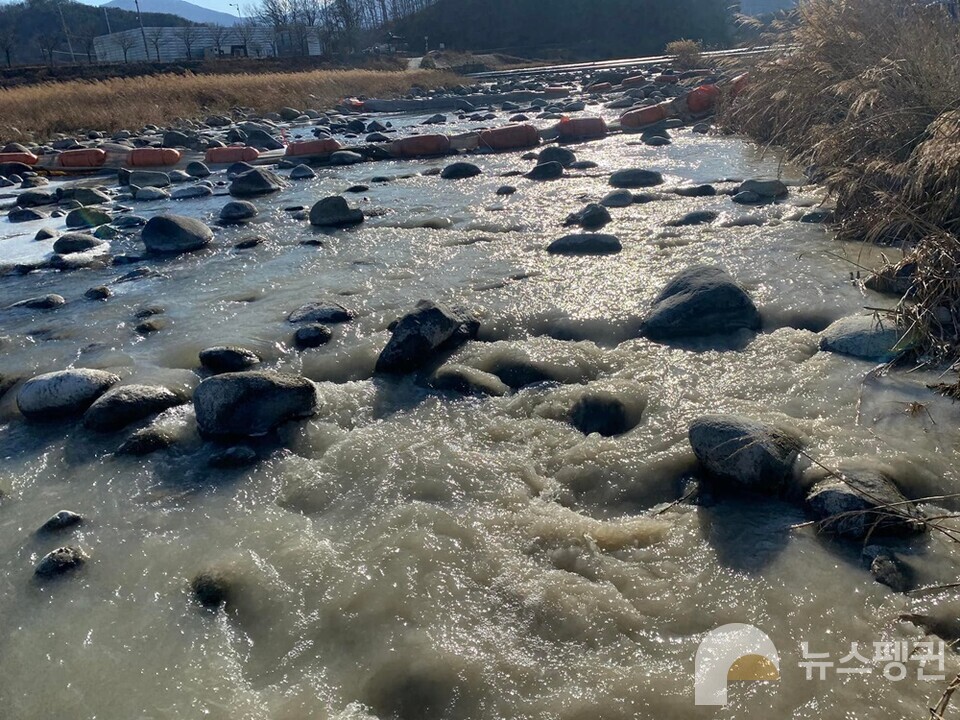 석분이 유출된 하천. (사진 수달친구들 최상두 대표)/뉴스펭귄