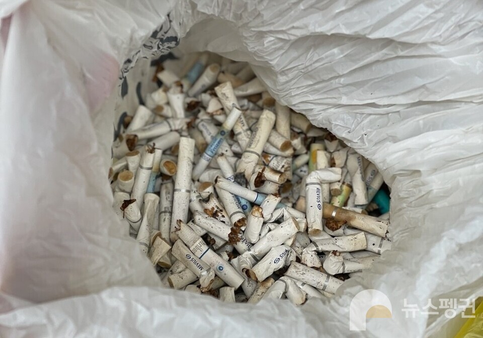 수거된 담배꽁초. 물에 젖거나, 오물과 뒤섞일 경우 악취가 발생하기 때문에 보관이 쉽지 않다. (사진 문혜민 대표 제공)/뉴스펭귄