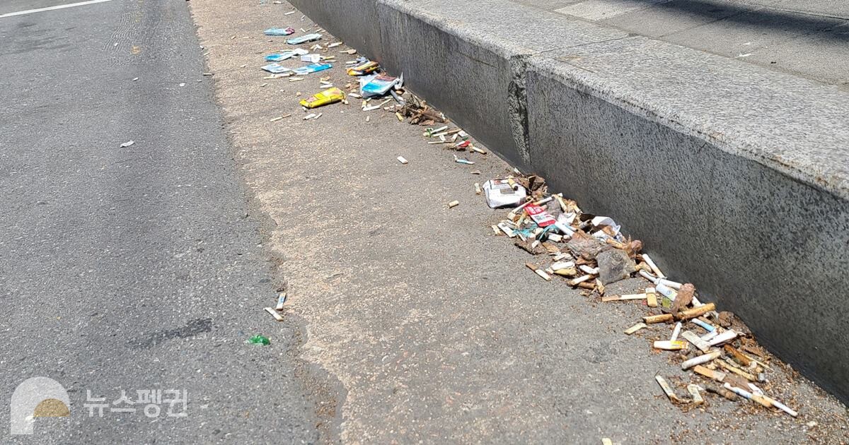 길가에 버려져 있는 담배꽁초. 그 수가 상당하다. (사진 남예진 기자)/뉴스펭귄