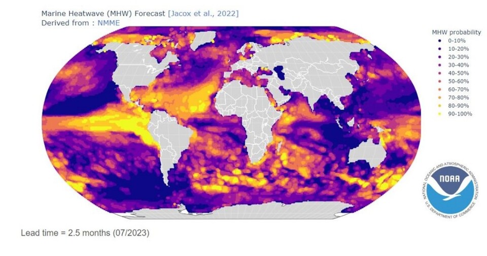 NOAA에서 제공하는 전 세계 이상고수온 발생 확률 전망(2023년 7월) 분포. (사진 국립수산과학원)/뉴스펭귄