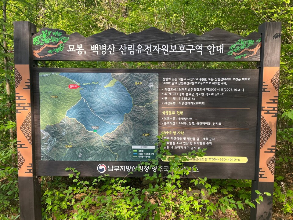 동부 2구간이 관통하는 경북 봉화 묘봉과 백병산 산림유전자원보호구역. (사진 녹색연합)/뉴스펭귄