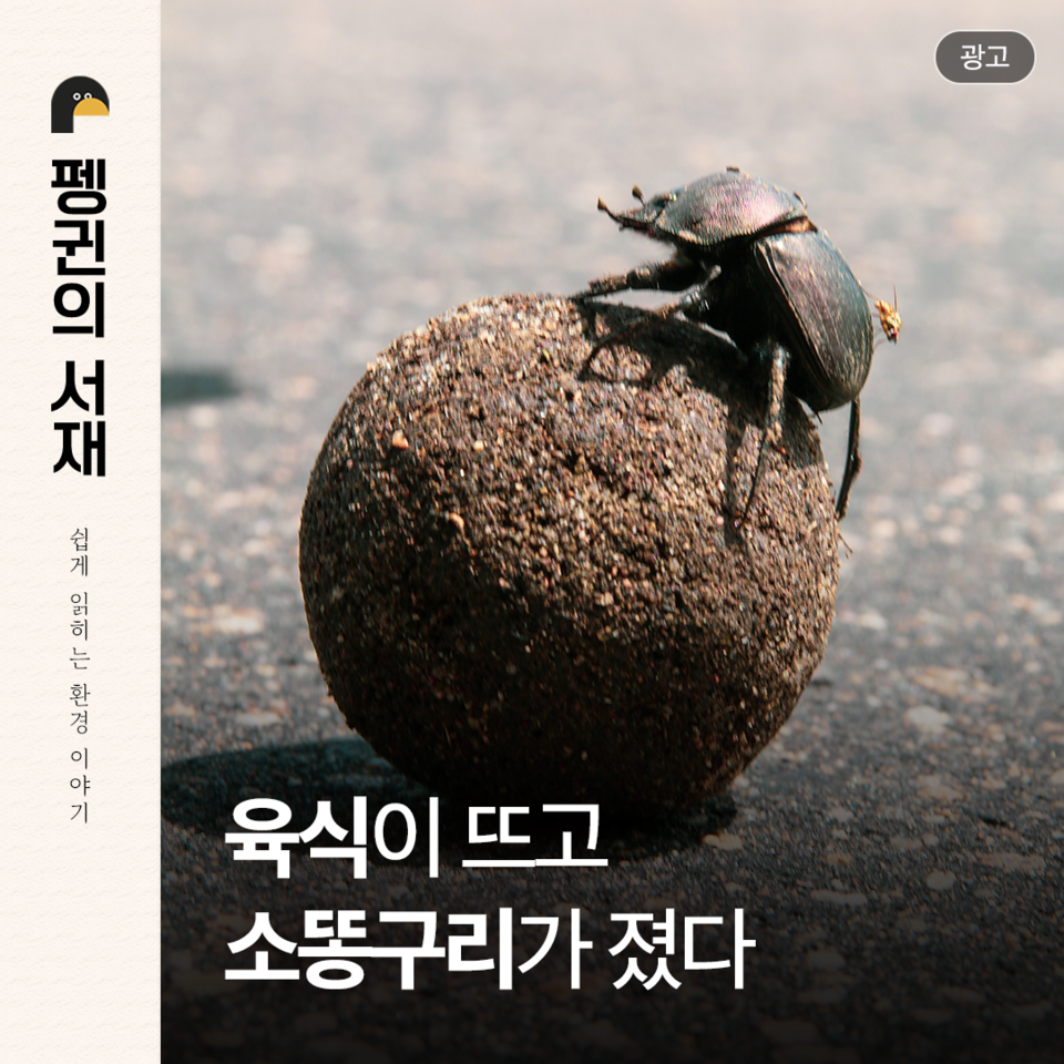 (그래픽 손아영)/뉴스펭귄