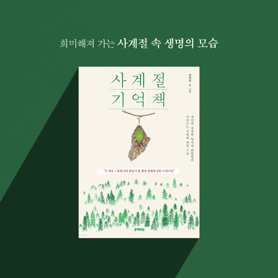 (그래픽 손아영)/뉴스펭귄