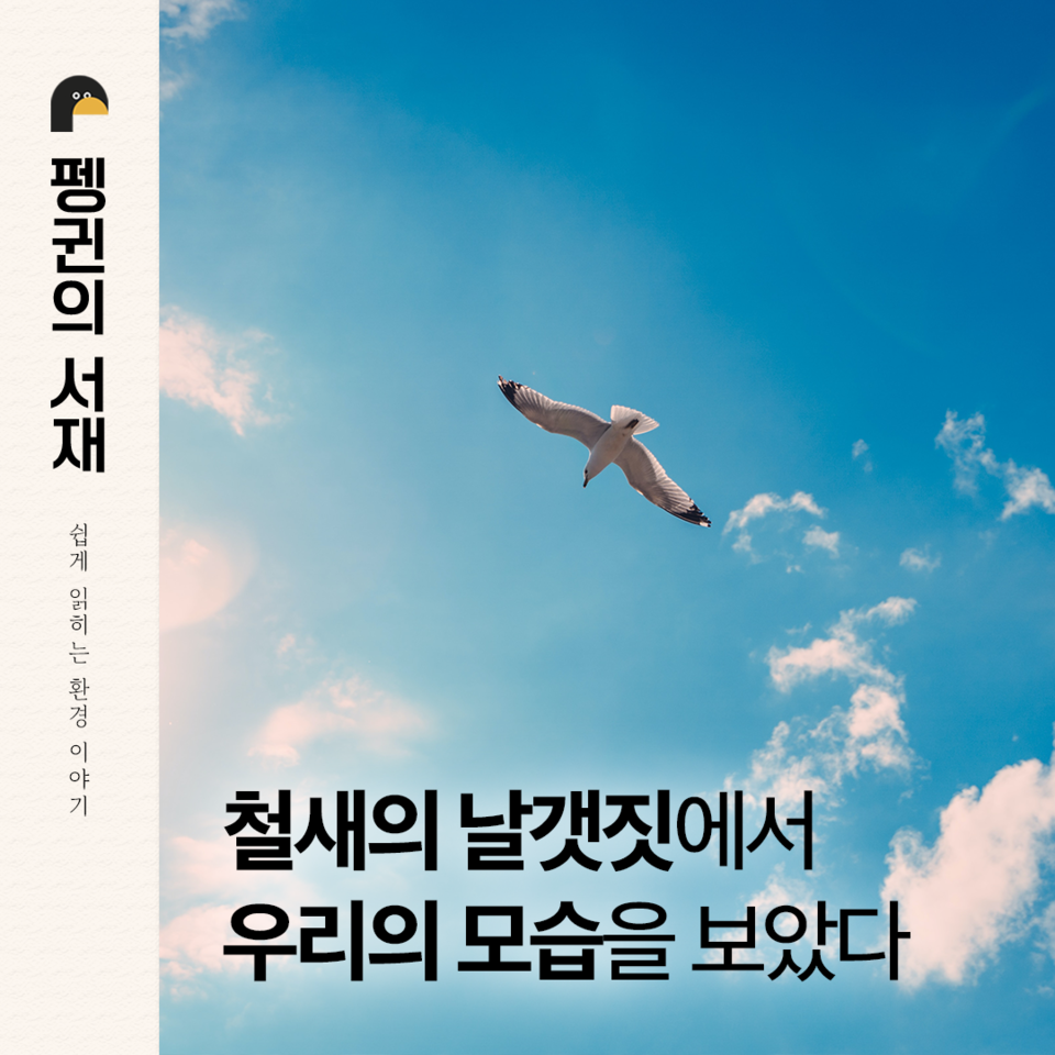 (그래픽 손아영)/뉴스펭귄