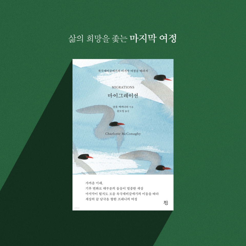 (그래픽 손아영)/뉴스펭귄