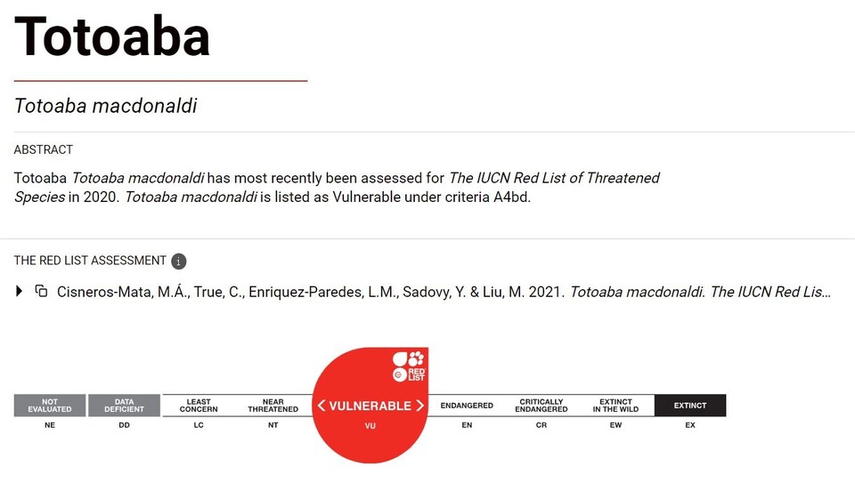 토토아바 국제 멸종위기종 등급. (사진 IUCN)/뉴스펭귄
