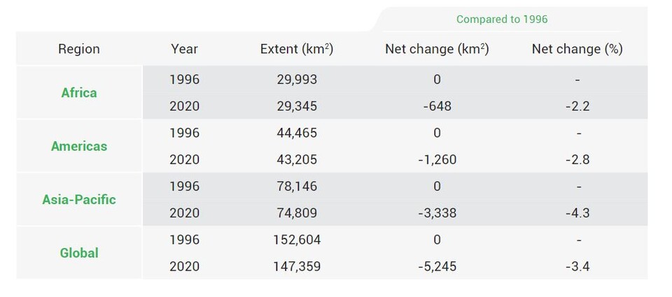 1996년과 2020년 사이 맹그로브 면적 변화. (사진 GLOBAL MANGROVE WATCH, V3.0)/뉴스펭귄