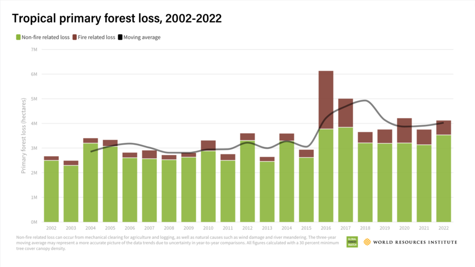 2002~2022년 동안 파괴된 열대우림의 면적을 나타낸 그래프. 갈색은 산불로 인한 산림 파괴를, 초록색은 산불을 제외한 요인에 의해 파괴된 비율이다. 검은색 실선은 평균치 변화다. (사진 World Resources Institute)/뉴스펭귄