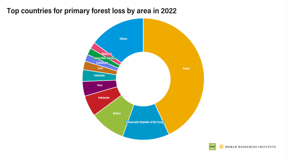 2022년 국가별 산림파괴 비율을 나타낸 도표. 브라질이 43.1%로 가장 많은 산림이 파괴됐다. (사진 World Resources Institute)/뉴스펭귄