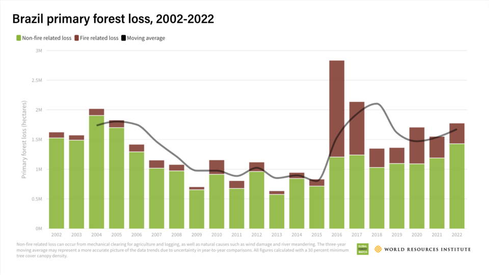 2002~2022년 동안 브라질의 산림파괴 정도를 나타낸 도표. (사진 World Resources Institute)/뉴스펭귄