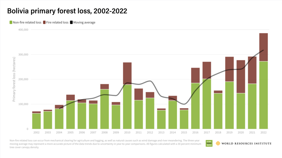 2002~2022년 동안 볼리비아의 산림파괴 정도를 나타낸 도표. (사진 World Resources Institute)/뉴스펭귄