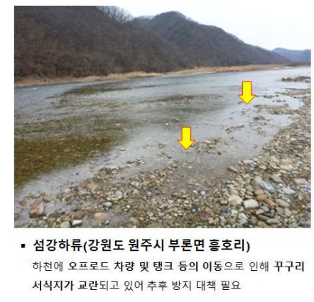 바퀴 자국이 남아있다. (사진 2020년 환경부 보고서 캡처)/뉴스펭귄