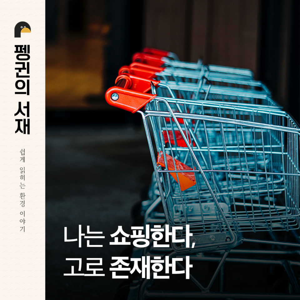 (그래픽 손아영)/뉴스펭귄