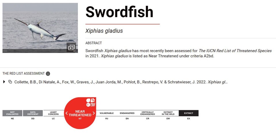 황새치는 아직은 멸종위기에 처하지 않았지만, 개체수가 급격히 감소 중이다. (사진 IUCN 갈무리)/뉴스펭귄