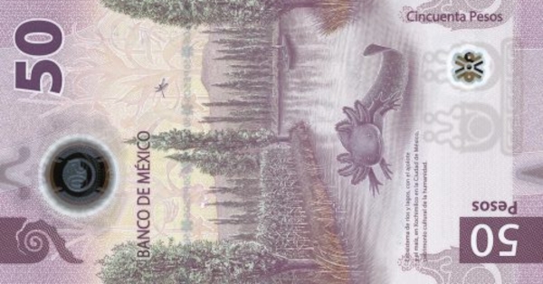 멕시코 50페소 지폐 속 아홀로틀. (사진 The international Bank Note Society)/뉴스펭귄