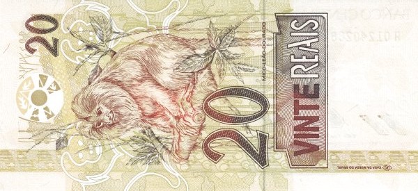 브라질 20헤알 지폐 속 황금사자타마린. (사진 위키피디아)/뉴스펭귄